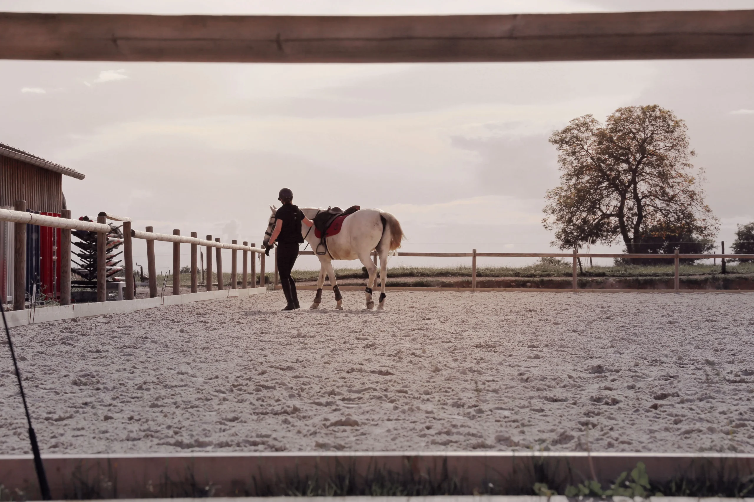 Cavalière et son cheval dans la carrière après son entrainement