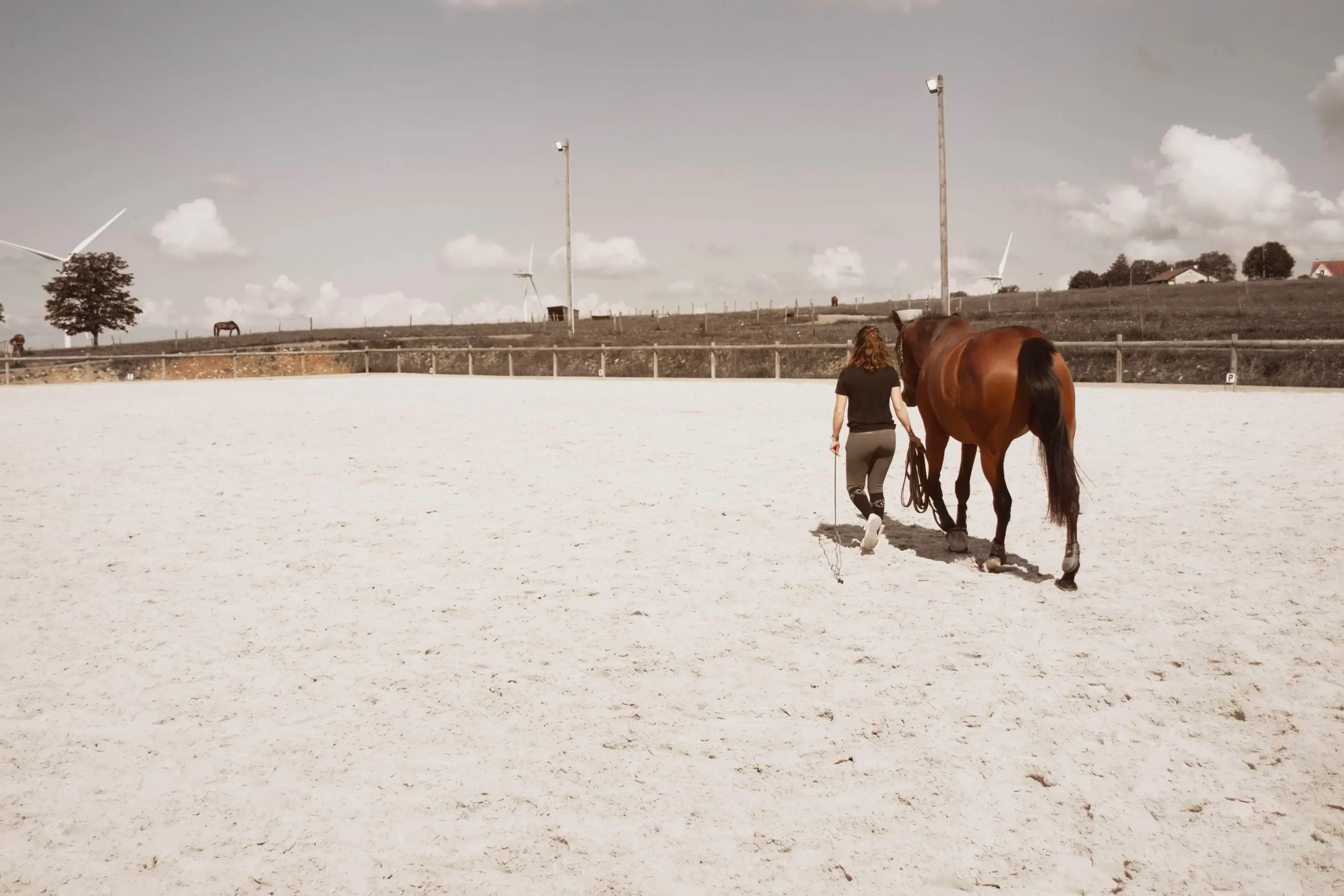 Ludivine en train d'entrainer un cheval dans la carrière